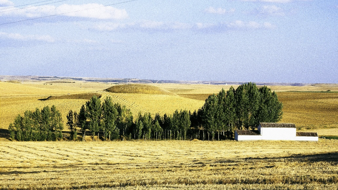 Fig.1 (Paisaje de la Tierra de Campos en Berrueces)