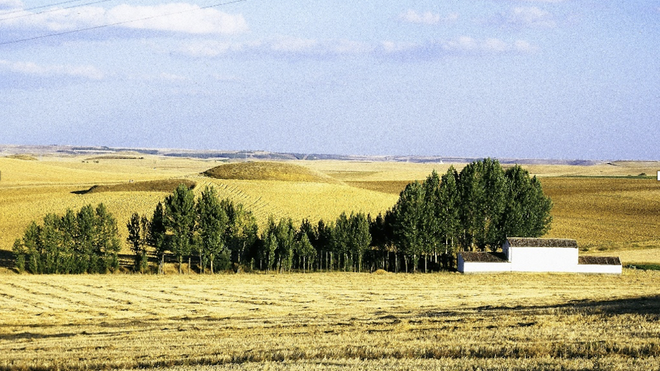 Paisaje de Tierra de Campos, en Berrueces