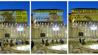 Proyectan animalista en el Vaticano