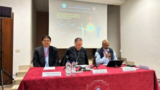 Congreso internacional de los Camilos en Roma