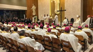 Asamblea general plenaria del Celam