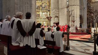 El coro de la Catedral de Oviedo, Schola Cantorum