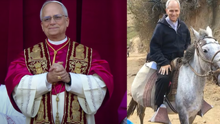 León XIV, Robert Prevost