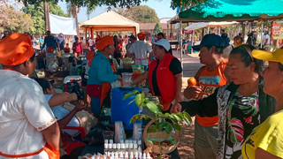 Transición ecológica y sistema económico justo