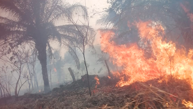 Los incendios en Bolivia aumentaron dramáticamente en 2024
