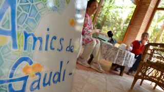 Amics de Gaudí