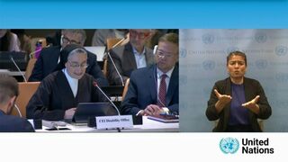 Sor Veronica Donatello en la ONU