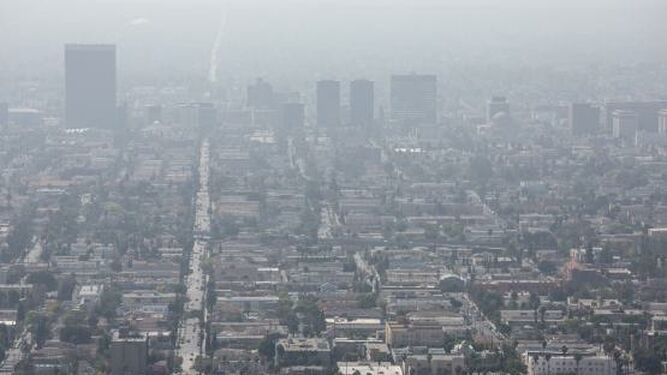 Contaminación