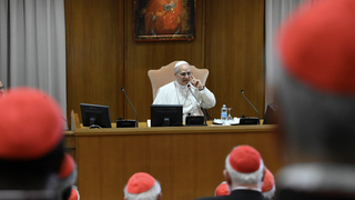 El Papa se dirige al Colegio Cardenalicio