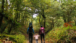 Padre y Madre nuestra del Camino