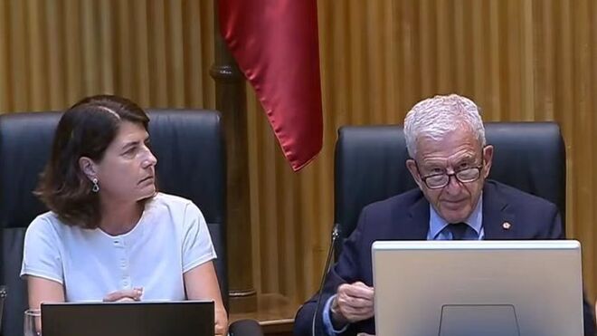 Ana Abril y Manuel Bretón. Comparecencia en la Comisión de Trabajo y Migración en el Congreso de los Diputados