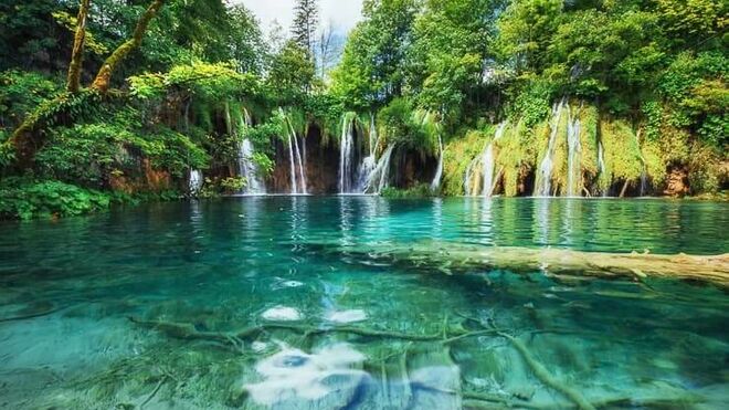 El agua cristalina de la confianza (salmo 6)