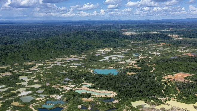 Deforestación en Brasil por la minería