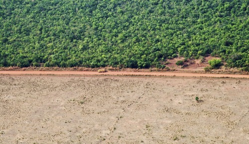 DeforestaciónRD