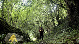 Peregrina en el Camino de Santiago a su paso por Navarra