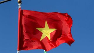 Bandera de Vietnam