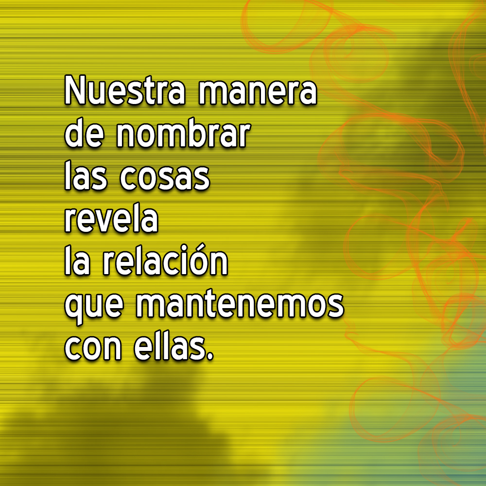 REC_238