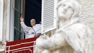 El Papa, en el ángelus