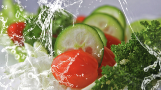 ¿Deben ser vegetarianos los cristianos?