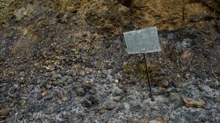 Incendio en el Baix Ebre