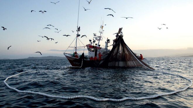 Pesca