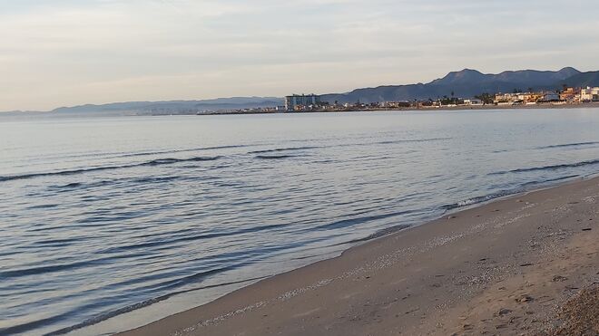 3 de agosto: XVIII Domingo del TO