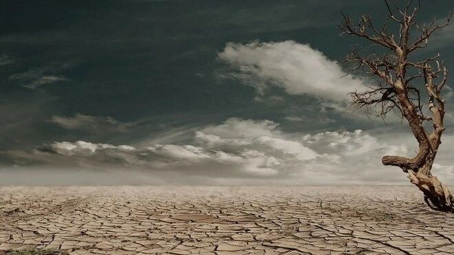 Naturaleza en peligro