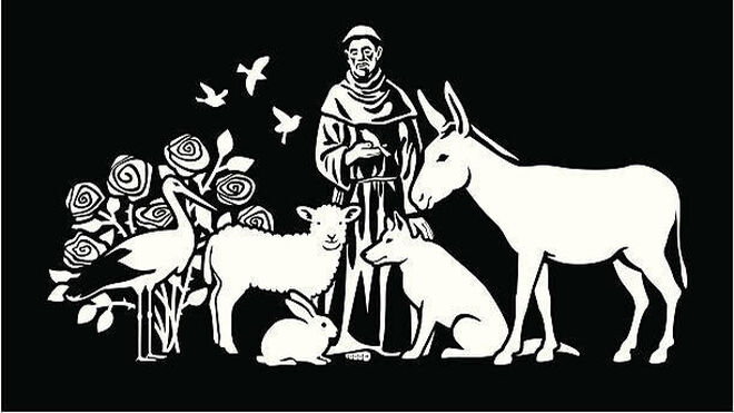 ❤️ ( l-ll) Que poco necesito y lo poco que necesito, lo necesito poco.    ¡El Amor no es amado! S. Francisco de Asís (Francisco lo gritó… y sigue doliendo)