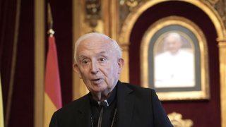 El cardenal Cañizares