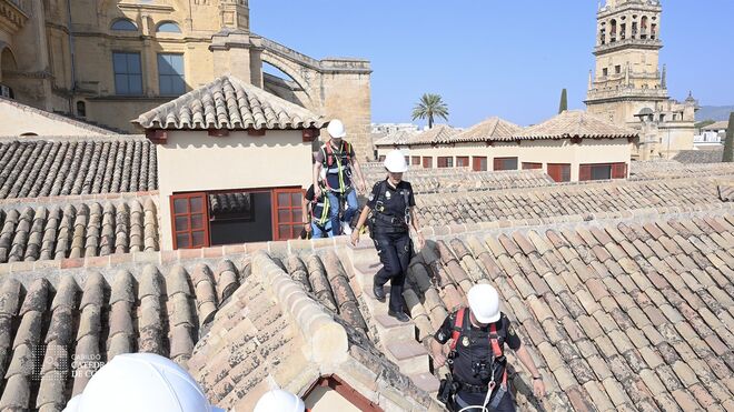 Técnicos inspeccionan la techumbre de la mezquita de Córdoba