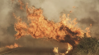 Incendios en Salamanca