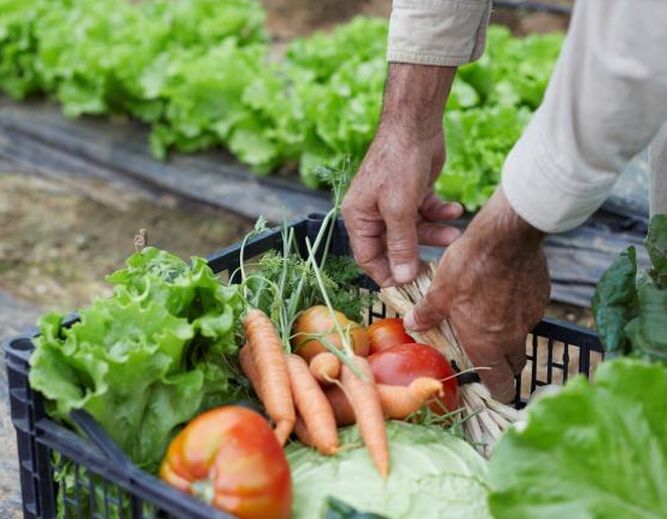 Vegetales