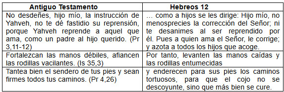 esquema 1