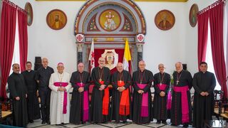 Aveline peregrina Tierra Santa