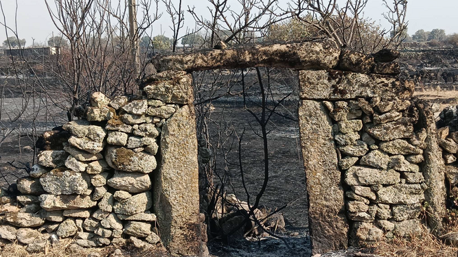 Incendios diócesis de Salamanca