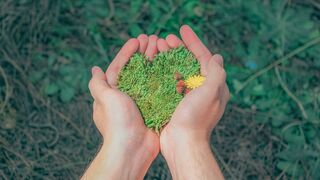 El cuidado de la creación, cuestión de todos