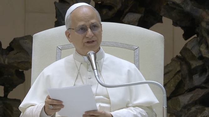 El Papa ha pedido en sus audiencias el fin de la guerra en Gaza