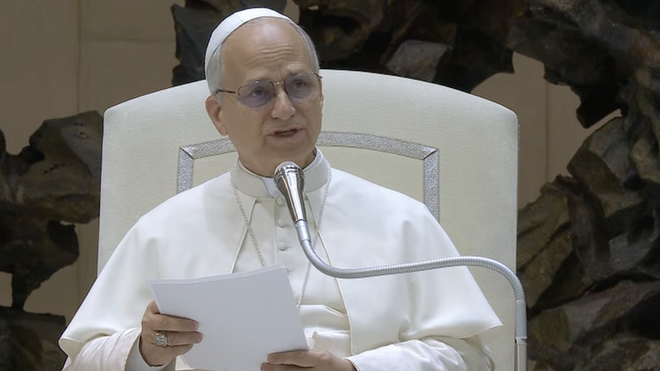 El Papa, en la audiencia