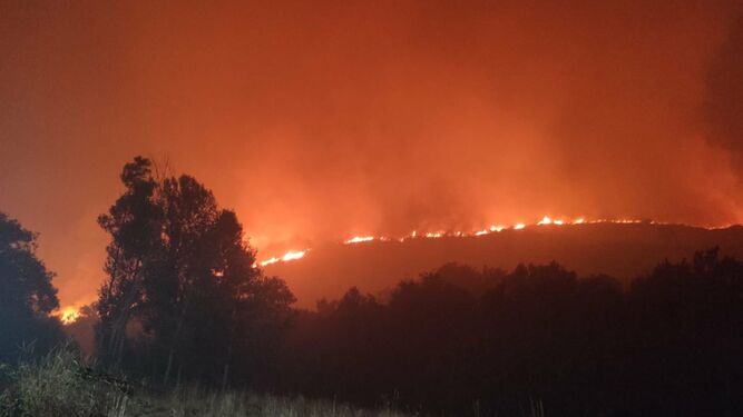 Incendios en El Bierzo