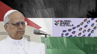 Papa y flotilla humanitaria a Gaza