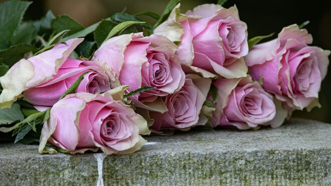 Rosas