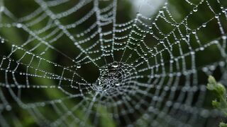 La trampa del 'siempre se ha hecho así'