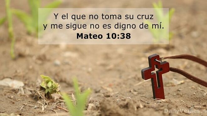 Llevar la cruz