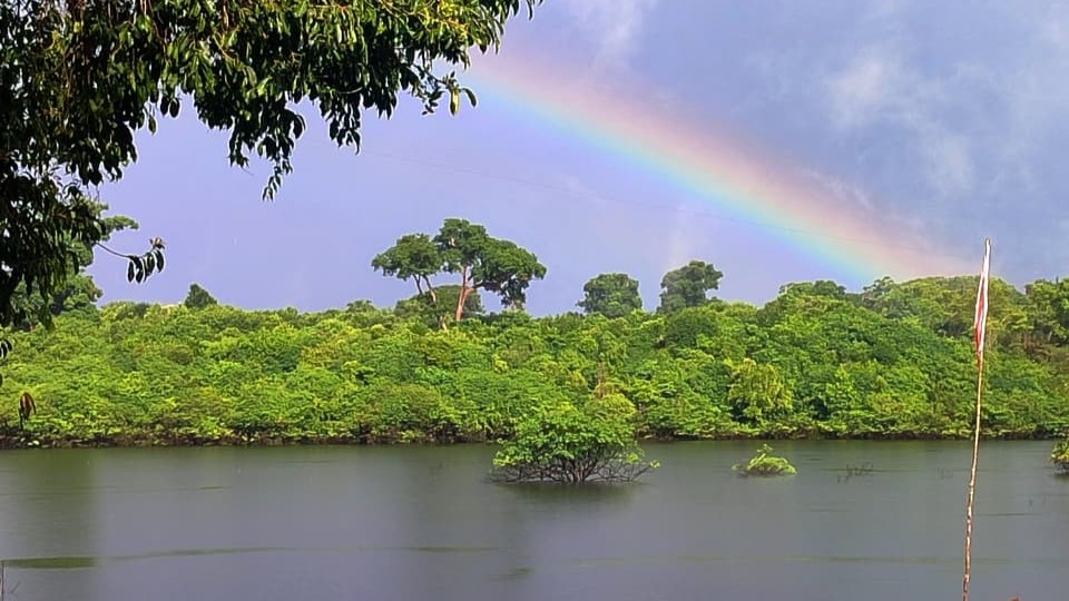 Amazônia 2