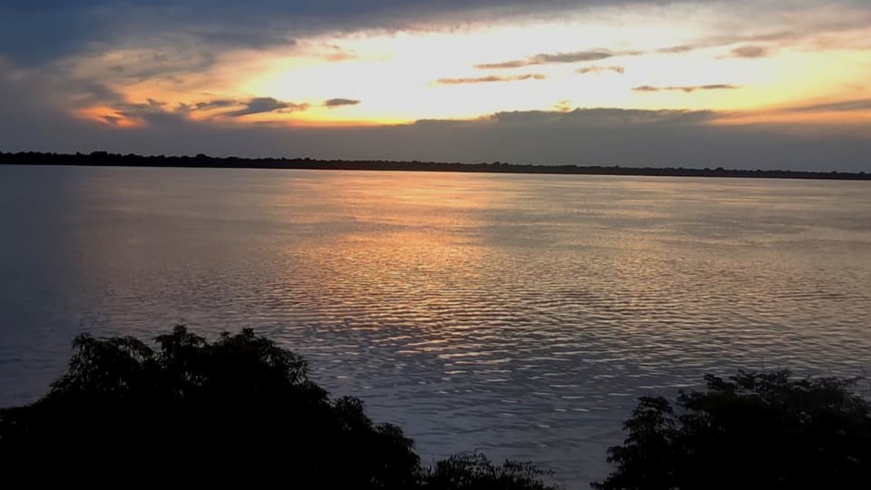 Amazônia 3