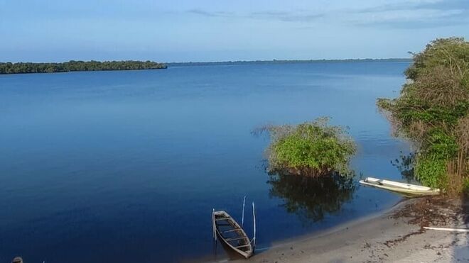 Amazonia brasileña