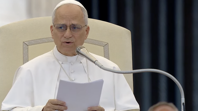 El Papa, durante la catequesis