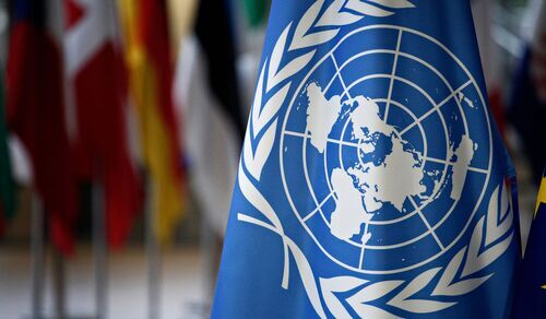 Organización Internacional de las Naciones Unidas