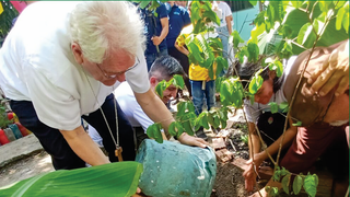 Cardenal Steiner apuesta por Prácticas de Ecología Integral