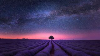 Seminario-taller de poesía mística en Zaragoza